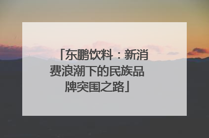 东鹏饮料：新消费浪潮下的民族品牌突围之路