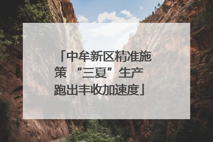 中牟新区精准施策 “三夏”生产跑出丰收加速度