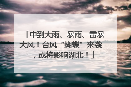 中到大雨、暴雨、雷暴大风！台风“蝴蝶”来袭，或将影响湖北！