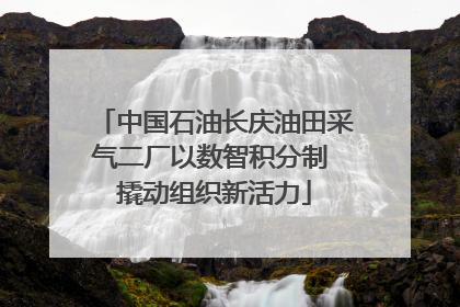 中国石油长庆油田采气二厂以数智积分制 撬动组织新活力