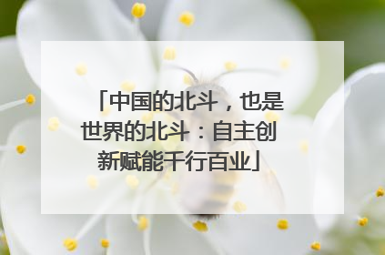 中国的北斗，也是世界的北斗：自主创新赋能千行百业