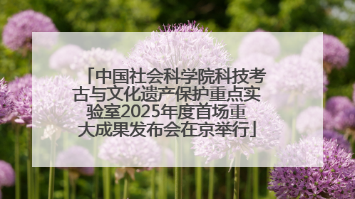 中国社会科学院科技考古与文化遗产保护重点实验室2025年度首场重大成果发布会在京举行