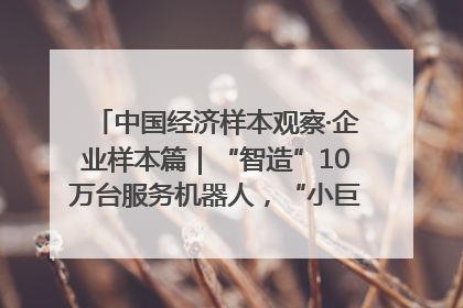 中国经济样本观察·企业样本篇｜“智造”10万台服务机器人，“小巨人”擎朗有大梦想