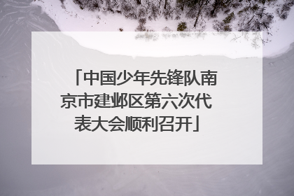 中国少年先锋队南京市建邺区第六次代表大会顺利召开