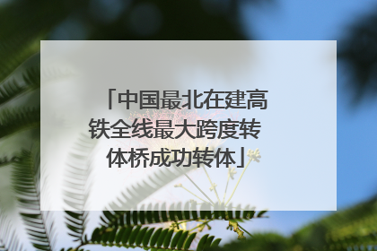 中国最北在建高铁全线最大跨度转体桥成功转体