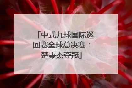中式九球国际巡回赛全球总决赛：楚秉杰夺冠