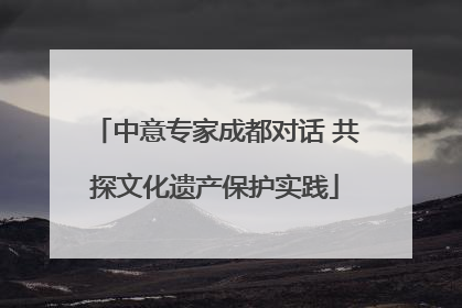 中意专家成都对话 共探文化遗产保护实践