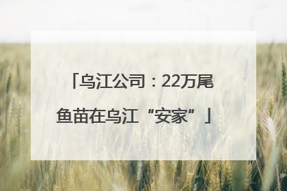 乌江公司：22万尾鱼苗在乌江“安家”