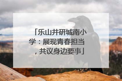 乐山井研城南小学：展现青春担当，共议身边要事