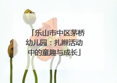 乐山市中区茅桥幼儿园：扎辫活动中的童趣与成长