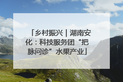 乡村振兴｜湖南安化：科技服务团“把脉问诊”水果产业