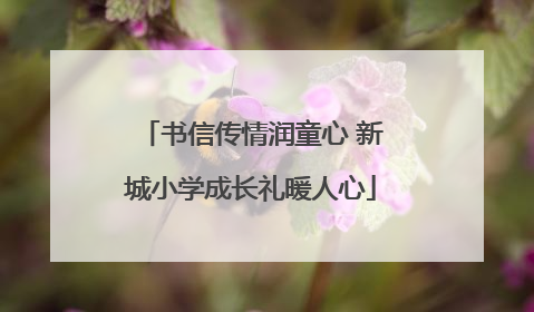 书信传情润童心 新城小学成长礼暖人心