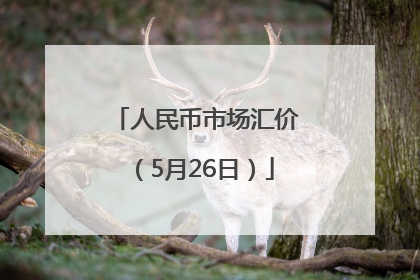 人民币市场汇价（5月26日）