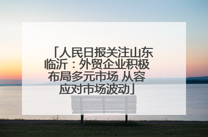 人民日报关注山东临沂：外贸企业积极布局多元市场 从容应对市场波动