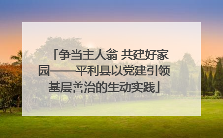 争当主人翁 共建好家园——平利县以党建引领基层善治的生动实践