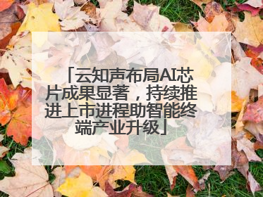 云知声布局AI芯片成果显著，持续推进上市进程助智能终端产业升级