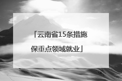 云南省15条措施保重点领域就业