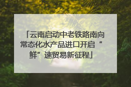 云南启动中老铁路南向常态化水产品进口开启“鲜”速贸易新征程