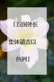 五国外长集体谴责以色列