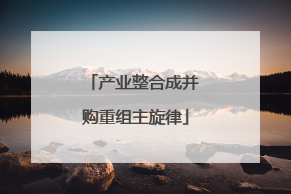 产业整合成并购重组主旋律