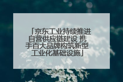 京东工业持续推进自营供应链建设 携手百大品牌构筑新型工业化基础设施