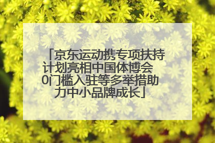 京东运动携专项扶持计划亮相中国体博会 0门槛入驻等多举措助力中小品牌成长