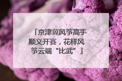 京津冀风筝高手顺义开赛，花样风筝云端“比武”