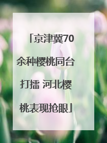 京津冀70余种樱桃同台打擂 河北樱桃表现抢眼