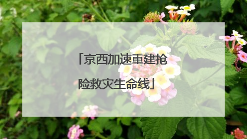 京西加速重建抢险救灾生命线