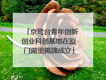 京鹭台青年创新创业科创基地在厦门湖里揭牌成立