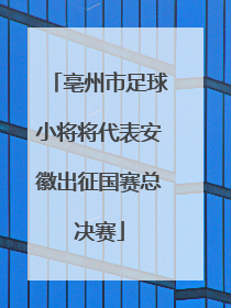 亳州市足球小将将代表安徽出征国赛总决赛