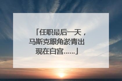 任职最后一天，马斯克眼角淤青出现在白宫……