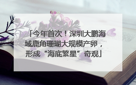 今年首次！深圳大鹏海域鹿角珊瑚大规模产卵，形成“海底繁星”奇观