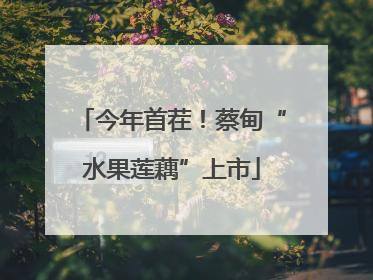 今年首茬！蔡甸“水果莲藕”上市