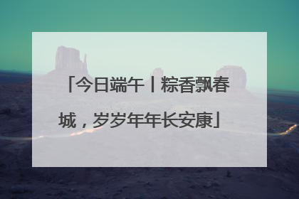今日端午丨粽香飘春城，岁岁年年长安康