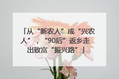 从“新农人”成“兴农人”，“90后”返乡走出致富“振兴路”