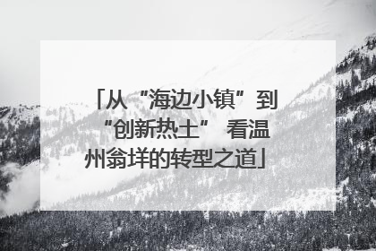 从“海边小镇”到“创新热土” 看温州翁垟的转型之道