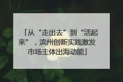 从“走出去”到“活起来”，滨州创新实践激发市场主体出海动能
