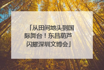 从田间地头到国际舞台！东昌葫芦闪耀深圳文博会