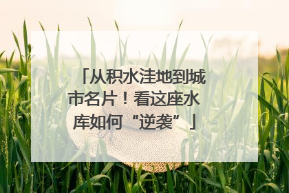 从积水洼地到城市名片！看这座水库如何“逆袭”