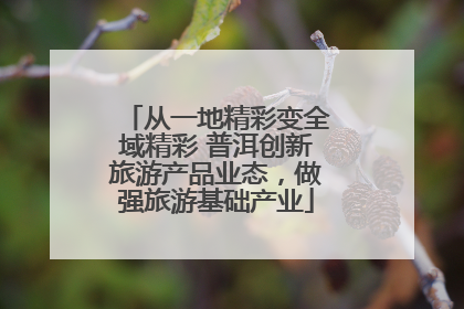 从一地精彩变全域精彩 普洱创新旅游产品业态，做强旅游基础产业
