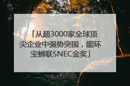 从超3000家全球顶尖企业中强势突围，能环宝蝉联SNEC金奖