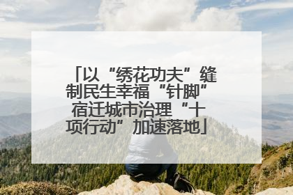 以“绣花功夫”缝制民生幸福“针脚” 宿迁城市治理“十项行动”加速落地