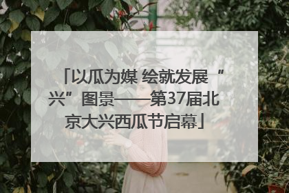 以瓜为媒 绘就发展“兴”图景——第37届北京大兴西瓜节启幕