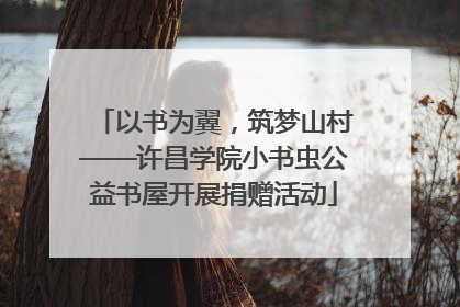 以书为翼，筑梦山村——许昌学院小书虫公益书屋开展捐赠活动