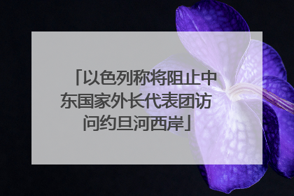 以色列称将阻止中东国家外长代表团访问约旦河西岸