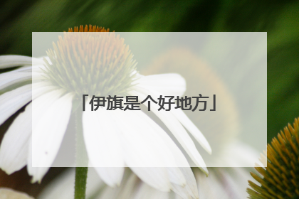 伊旗是个好地方