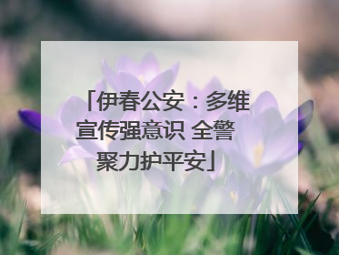 伊春公安：多维宣传强意识 全警聚力护平安