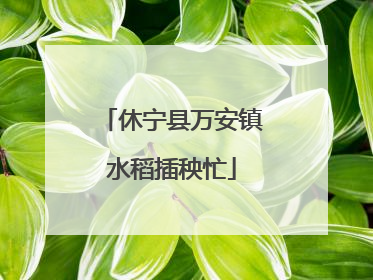 休宁县万安镇水稻插秧忙