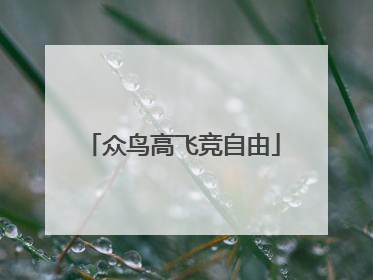 众鸟高飞竞自由
